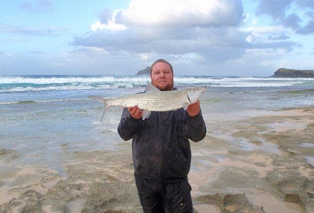 Bones from the beach – Dion does it again!
